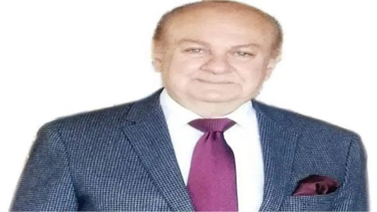 مصر تبذل جهودًا كبيرة لدعم جهود السلام في غزة